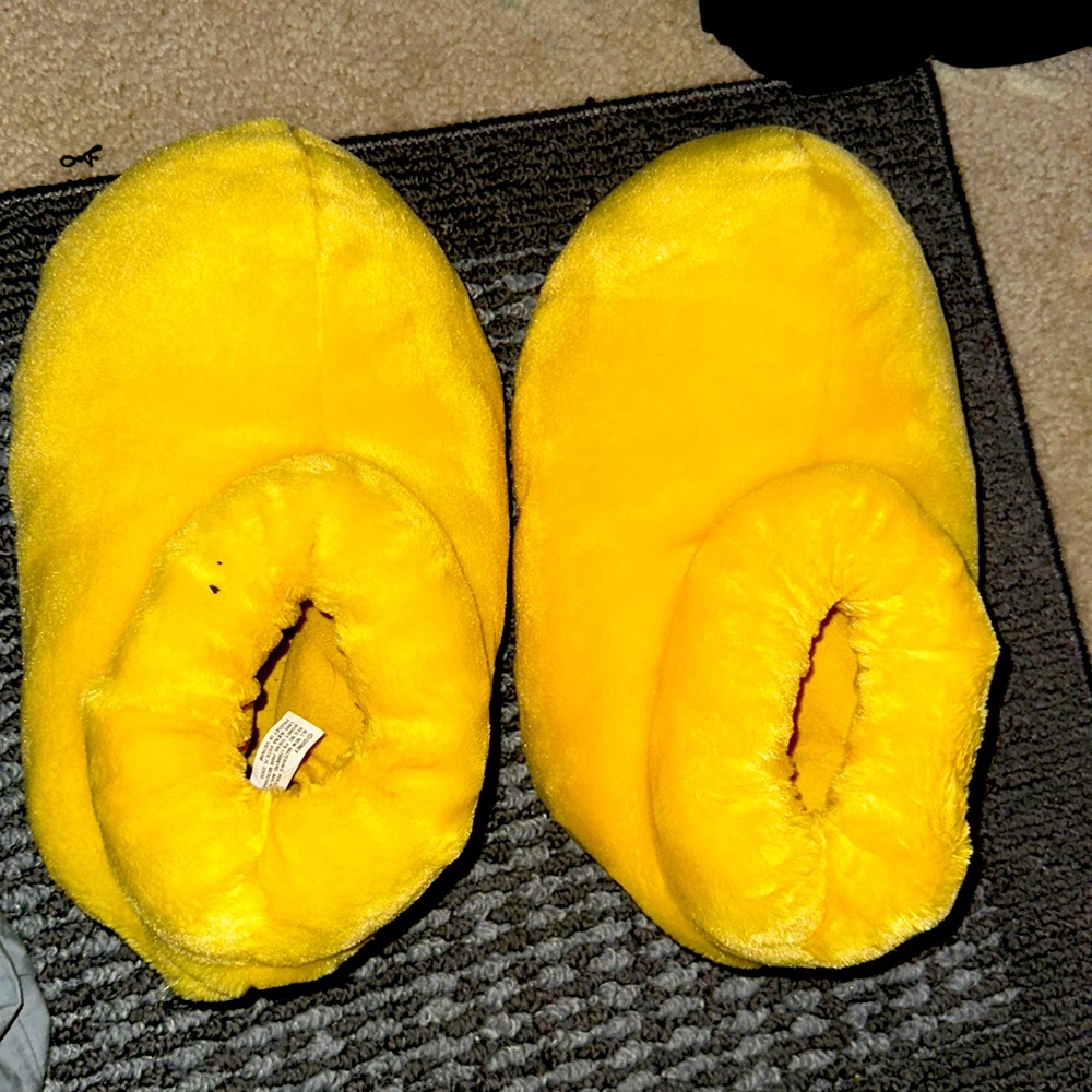 Goofy slippers